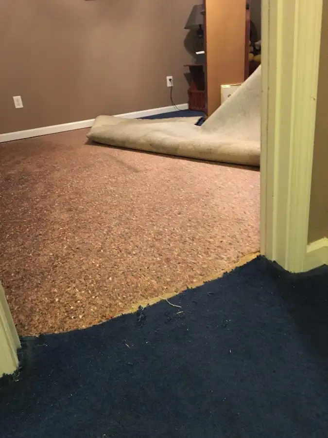 Carpet pad removal revealing water damage during Water Mitigation Services in West Long Branch