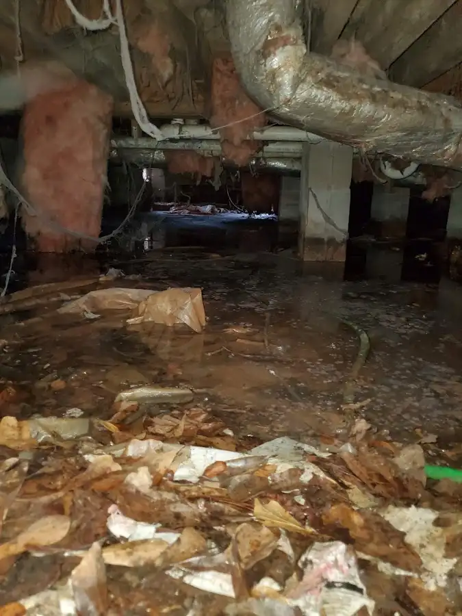 Crawl space flood assessment for Leak Detection & Repair in West Long Branch
